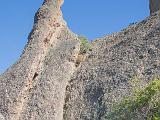 Pinnacles 008